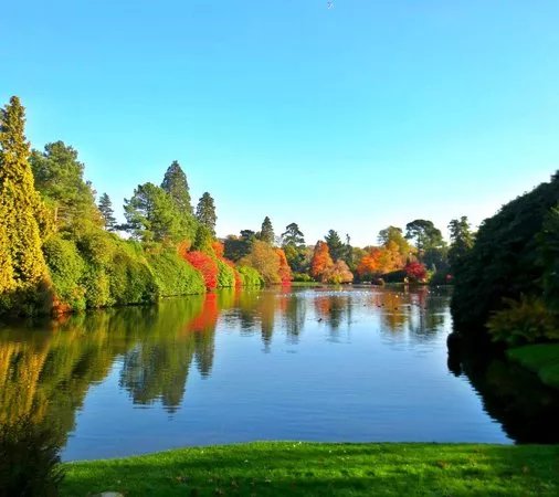 Sheffield Park And Garden