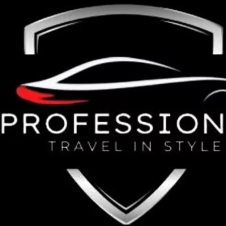 Professional Chauffeur Service