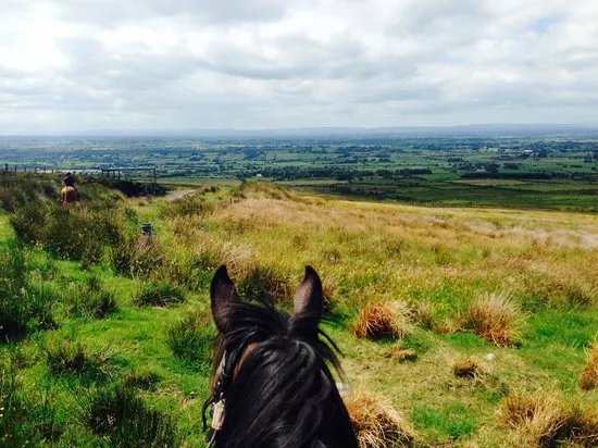 Sheans Horse Farm