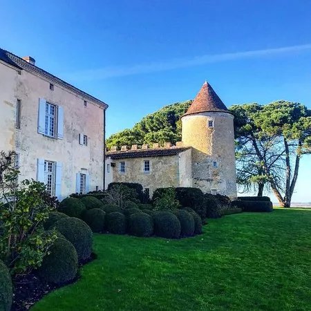 Bordeaux Wine Tours