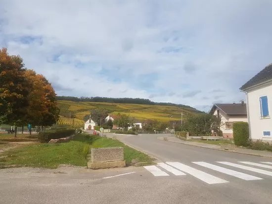 Domaine Francois Schmitt