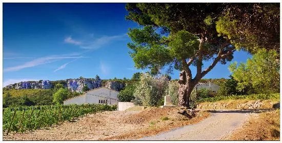 Chateau des Karantes