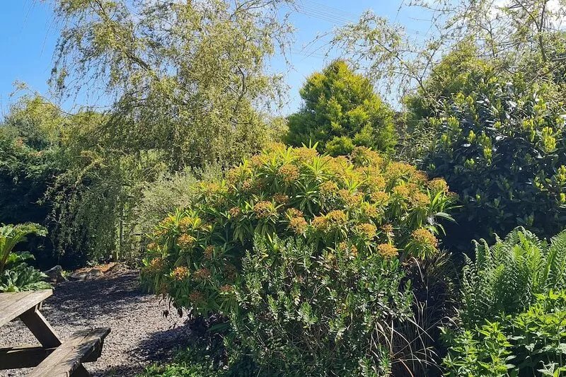 Rural Cottage, Log Burner, Sky, 60 inch TV ,Early check in and large gardens