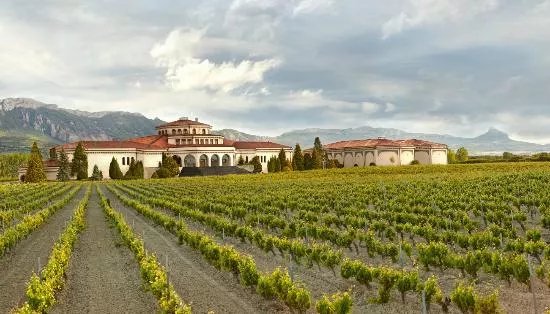 Bodegas Campillo