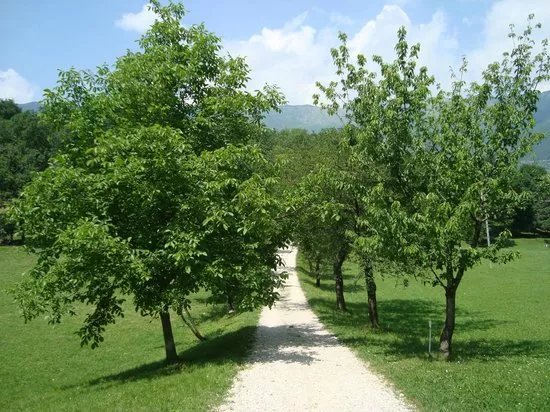 Parco Rurale di San Floriano