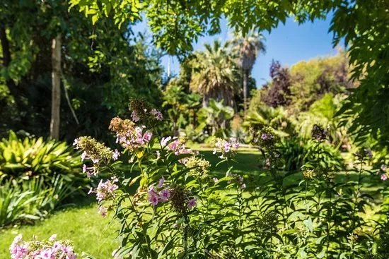 Jardin des plantes des Capellans