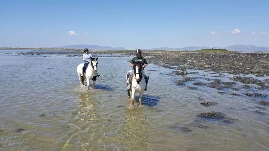 Croagh Patrick Stables