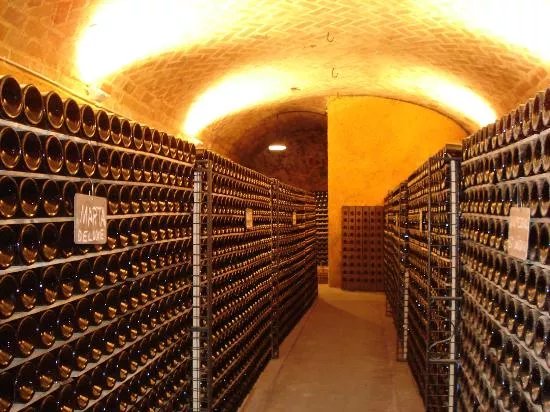 Cava Canals Canals - Cava y Museo Del Cava