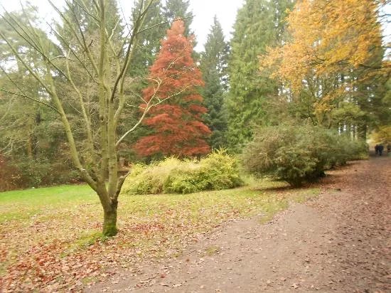 Lickey Hills Country Park