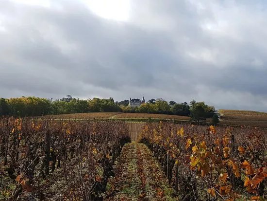 Bordeaux So You