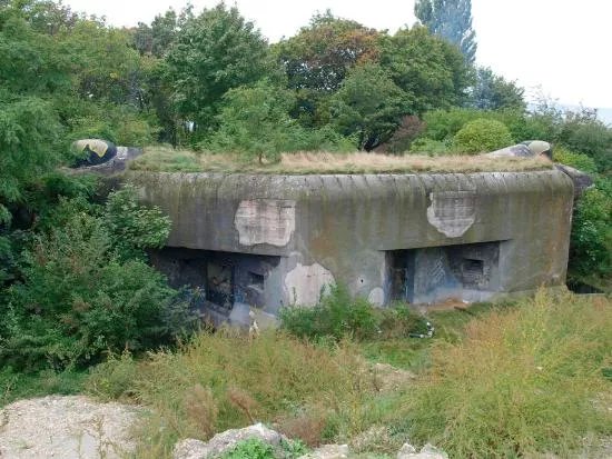 Bunker BS-8