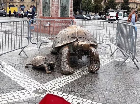 Tortues