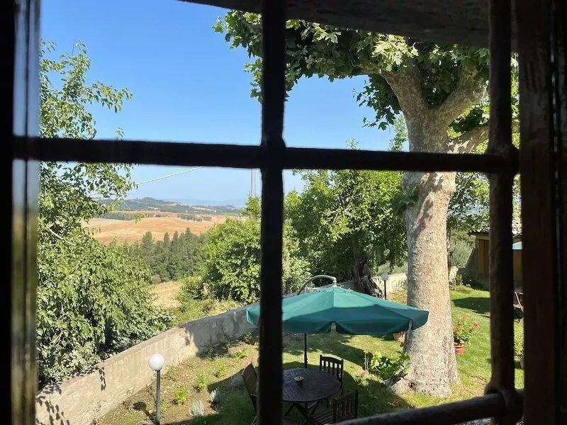 The sycamore is located within the grounds of the historic Villa Meleto