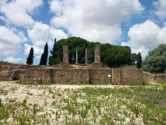 Mirobriga