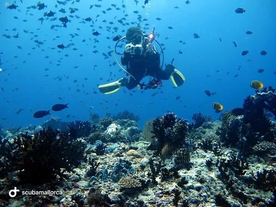 Scuba Mallorca