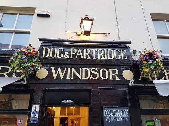 Dog and Partridge