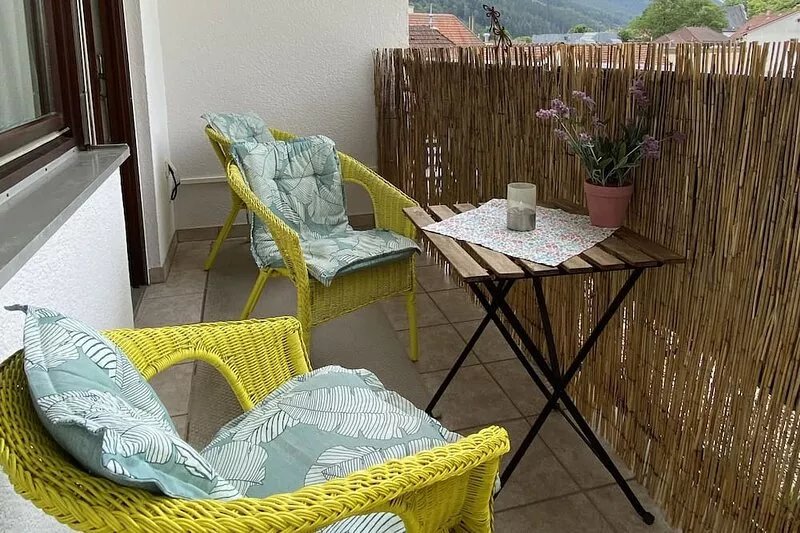 Nice central apartment with S-Bahn connection to Heidelberg and castle view