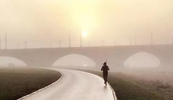 SightRunning Dresden