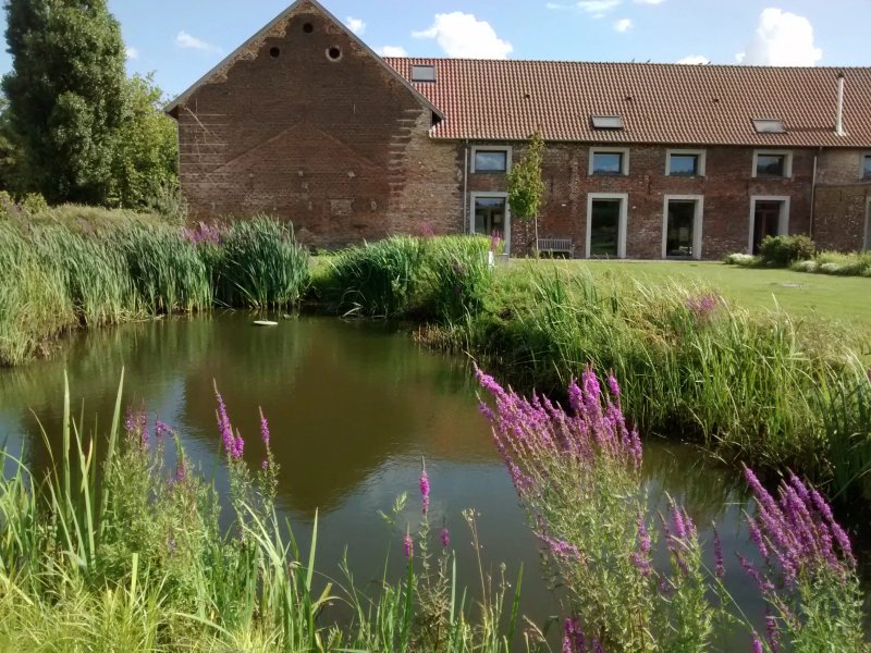Kasteelhoeve Wange