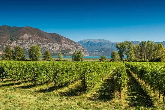Italy Destination by Paltours