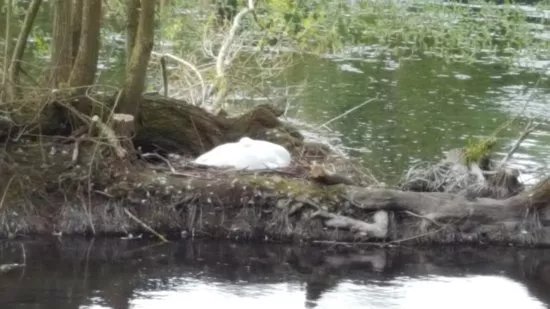 Charlton Lakeside