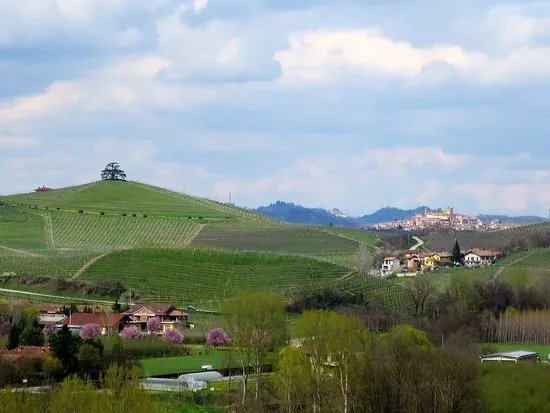 Azienda Agricola Cascina Pugnane S.S. dei F.lli Ghisolfi