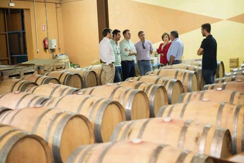 Bodegas Jabalcon