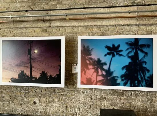 The Motel Collection