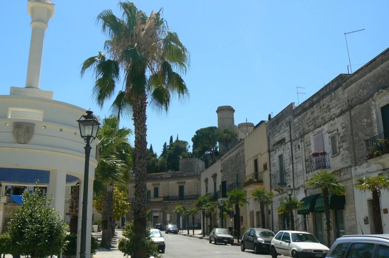 Mon Petit Zanzibar di Antonio Zanzico