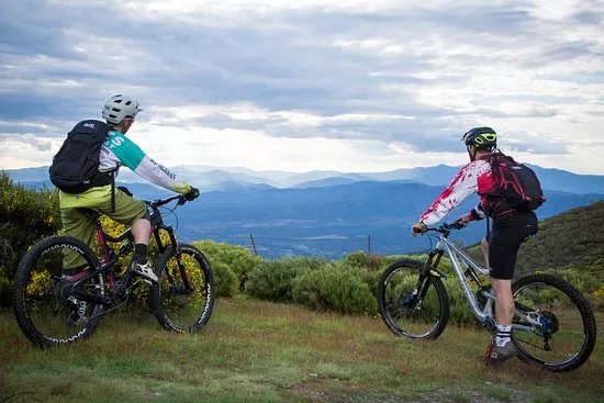 Bikes At Forest