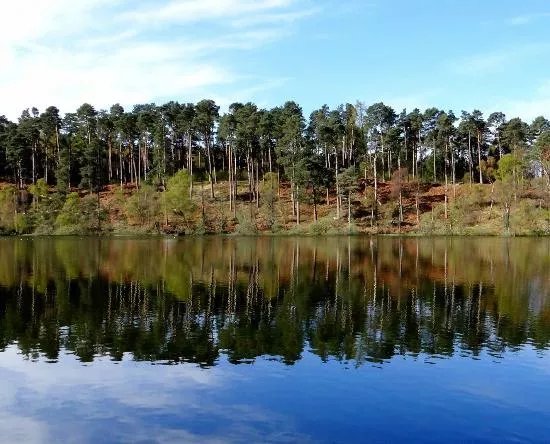 Millbuies Trout Fishery, Moray Fly Fishers