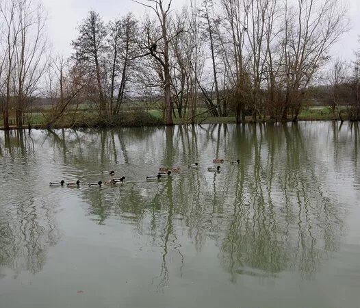 Etang Chaumont