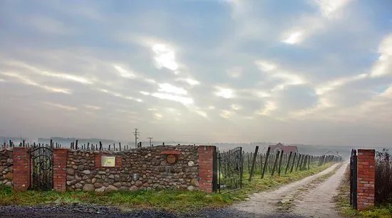 Mozow Vineyard