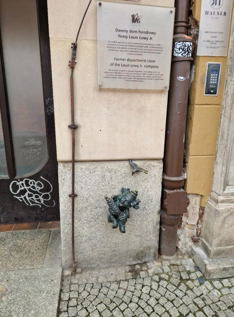 Dzioopelka ( Wroclaw Dwarf )