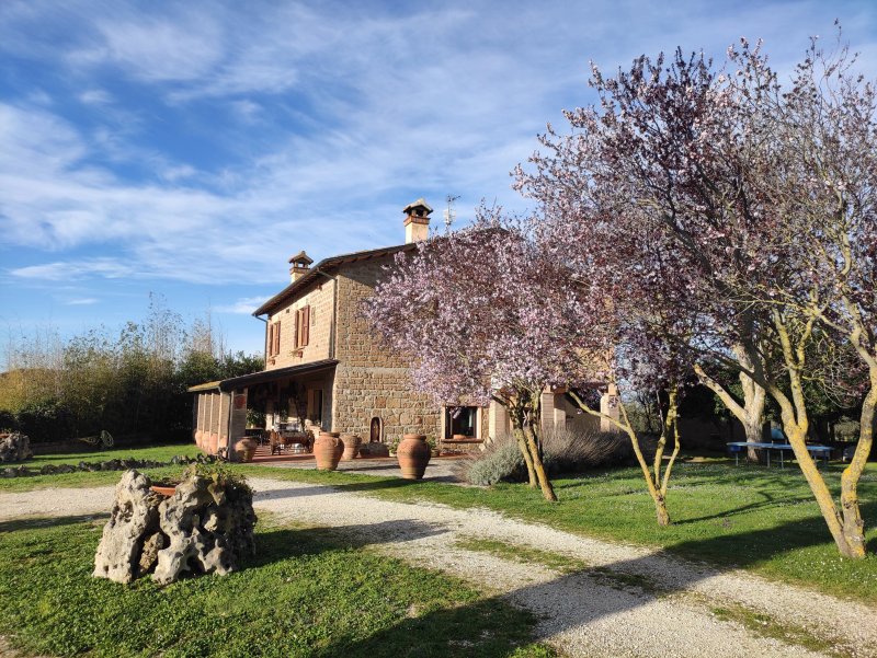B&B Il Pantanello