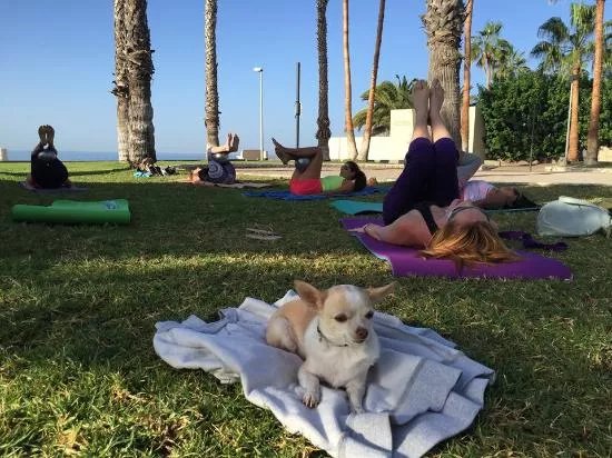 Yoga & Pilates Costa Adeje