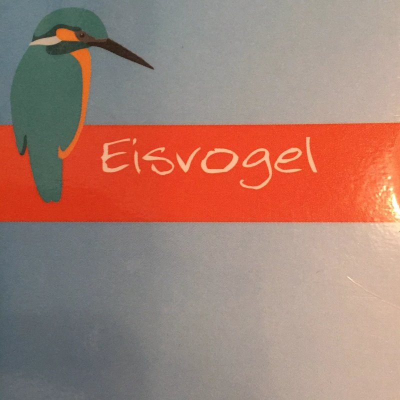 Eisvogel