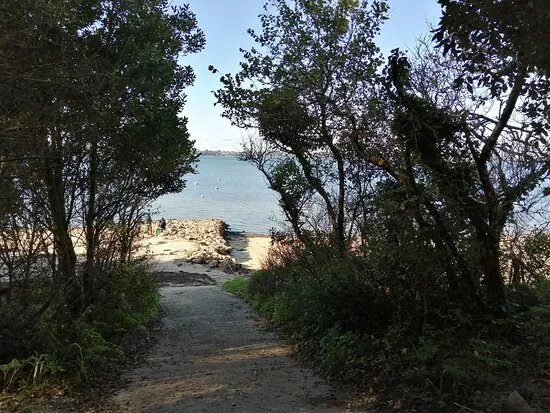 Randonnee Pedestre Sur L'ile Aux Moines