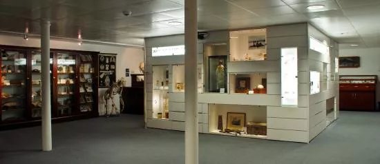 D'Arcy Thompson Zoology Museum
