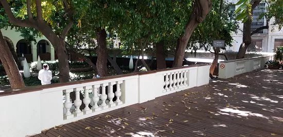 Jardi de la casa Ignacio de Puig