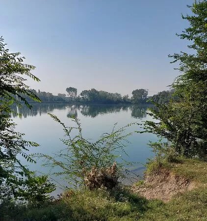 Oasi lago dei cigni