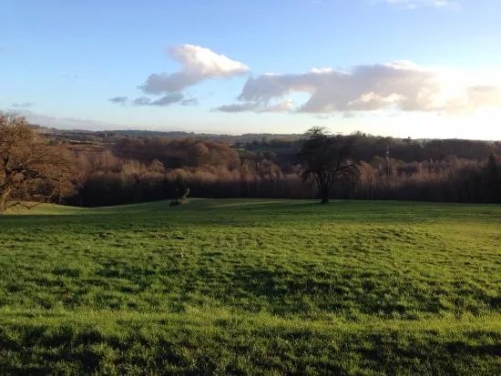 Barnett's Demesne