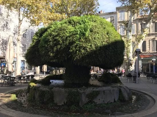 Fontaine Moussue