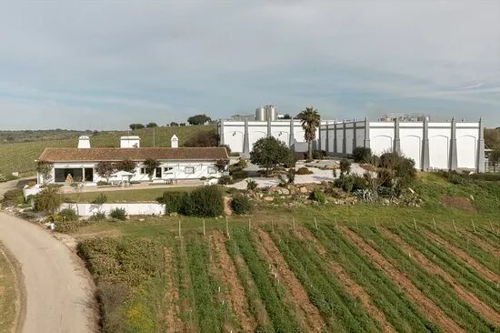 Aliestre Vineyards - Quinta da Esperanca