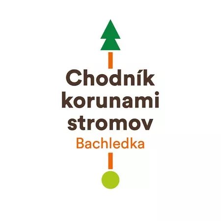 Chodnik Korunami Stromov
