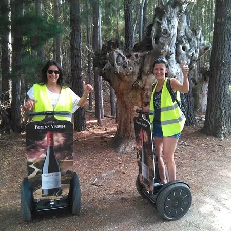 Enoturismo Galicia