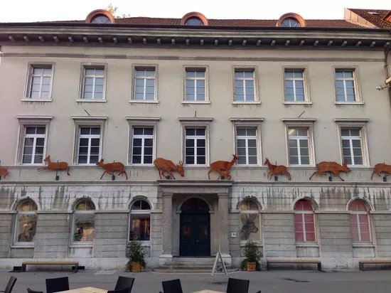Naturmuseum Olten