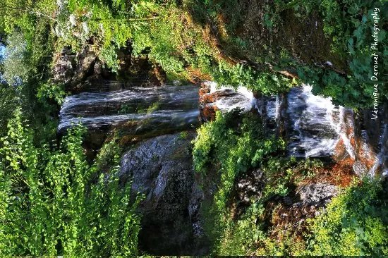 Jardin alpin La Jaysinia