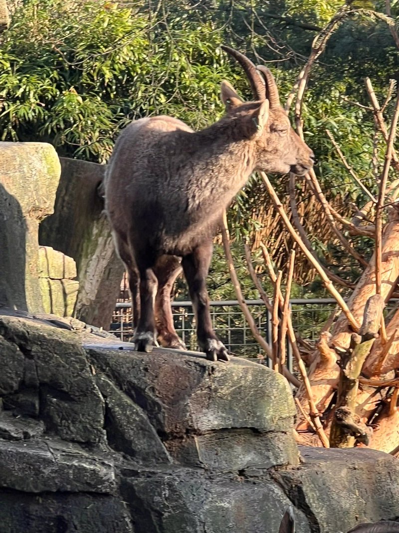 Artis Aquarium