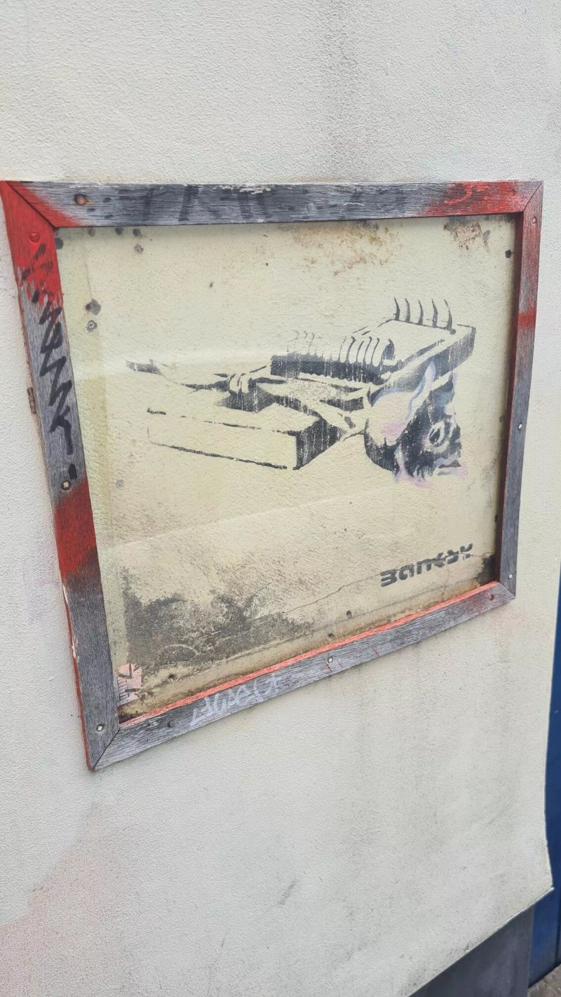 Banksy’s Rose on a Mousetrap